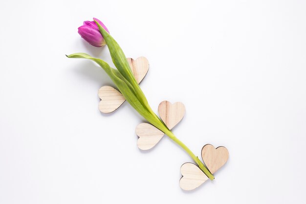 Purple tulip with wooden hearts on table