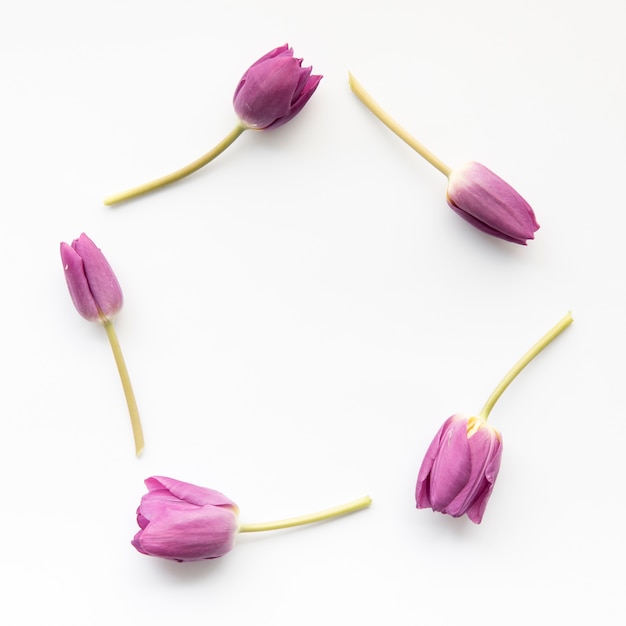 Композиция фиолетовых тюльпанов