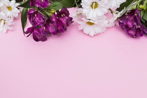 분홍색 바탕에 보라색과 흰색 꽃