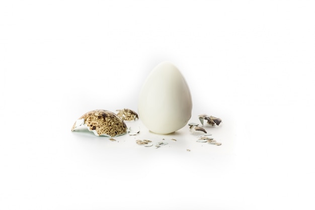 Free photo quail egg without shell