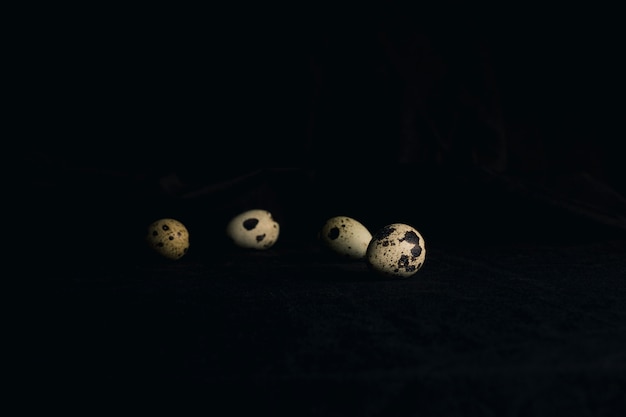 Free photo quail eggs between blackness