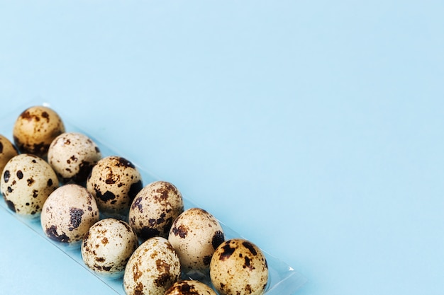 Quail eggs on blue