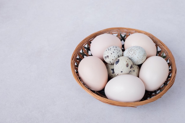 메 추 라 기 계란과 흰색 표면에 그릇에 닭고기 달걀.