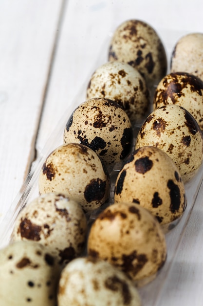 Quail eggs on white