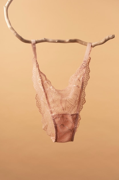 Free photo quality female lingerie still life