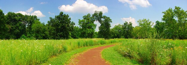 Quiet rural trail panorama