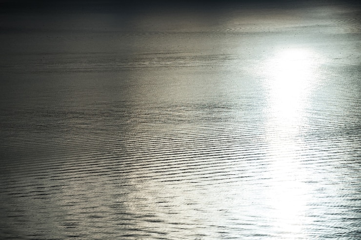 無料Photo 太陽の反射のある静かな海