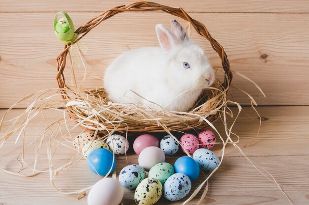 Rabbit in basket near eggs