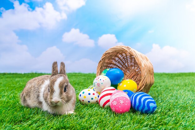 Rabbit and easter eggs in green grass with blue sky