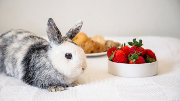 新鮮なイチゴの近くのテーブルに横たわるウサギ