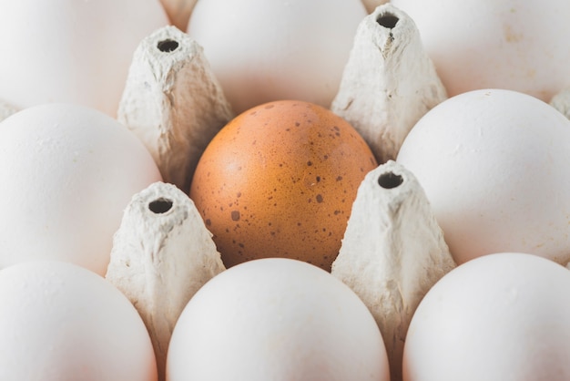 Free photo rack with white and brown eggs