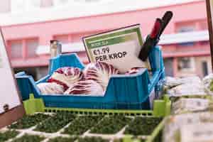 Free photo radicchio in blue crate with price label