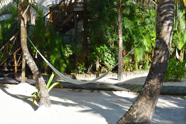 Тряпичный подвесной гамак на пальме место отдыха в тропиках экзотический летний пейзаж