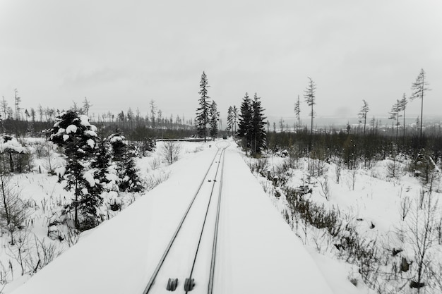 Железная дорога в холодный зимний день
