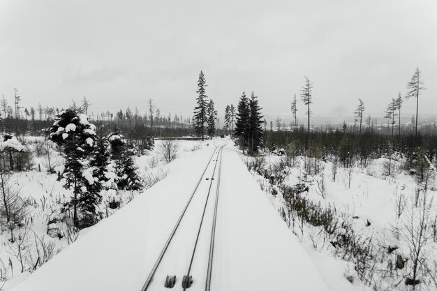 Railroad in cold winter day