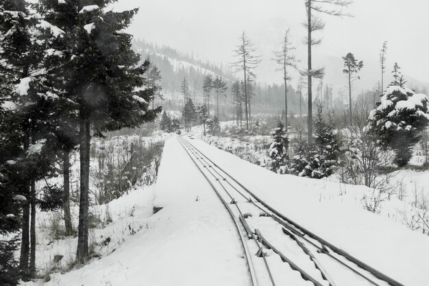 Railroad in evergreen winter forest