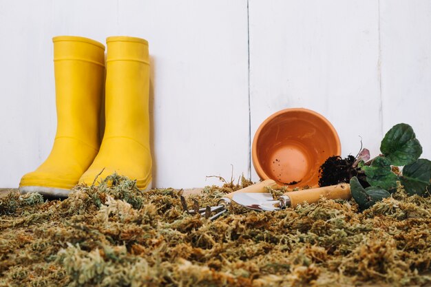 Rain boots and empty pot on moss