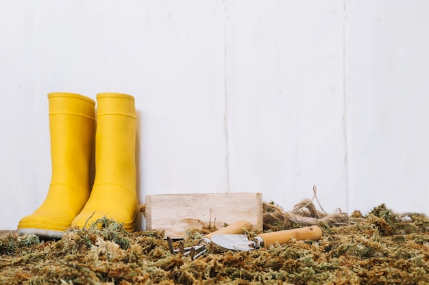 Rain boots and gardening tools on moss