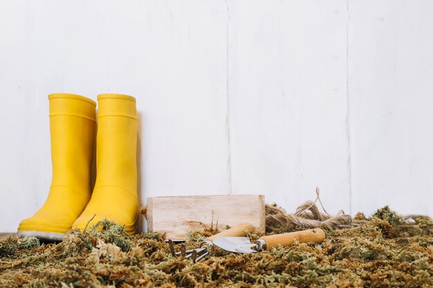 Rain boots and gardening tools on moss