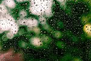 Free photo rain drops on the window