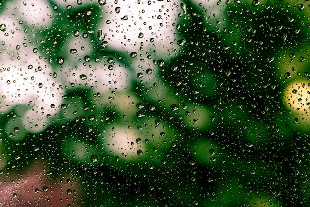 窓に雨が降る