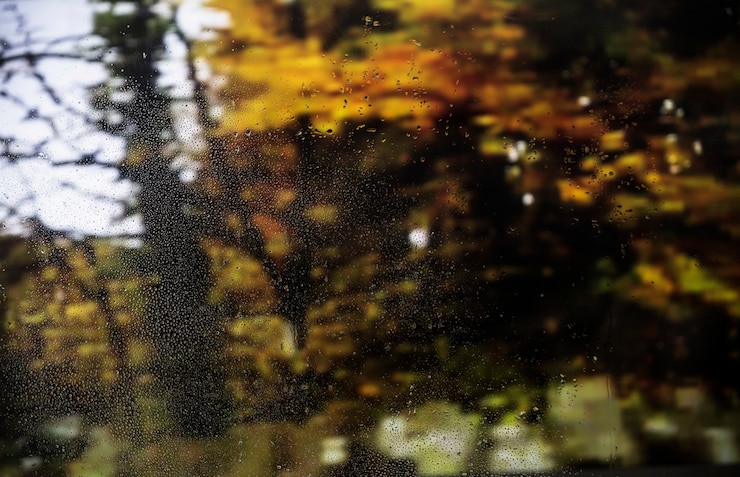 Free Photo rain effect on nature background