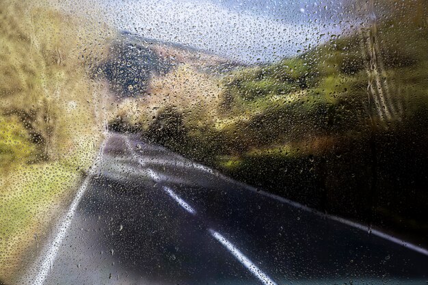 自然の背景に対する雨の影響