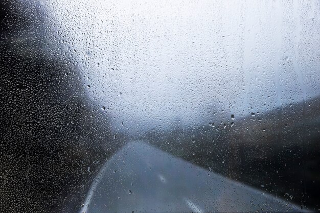 自然の背景に対する雨の影響