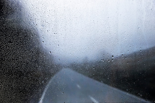 自然の背景に対する雨の影響