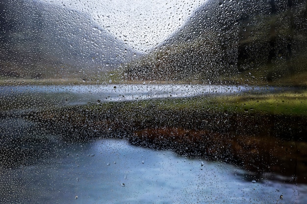 自然の背景に対する雨の影響