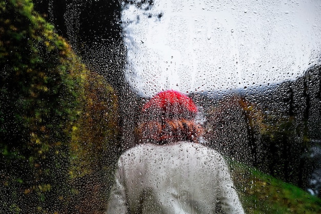 自然の背景に対する雨の影響