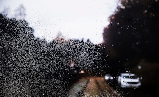 道路の背景に対する雨の影響