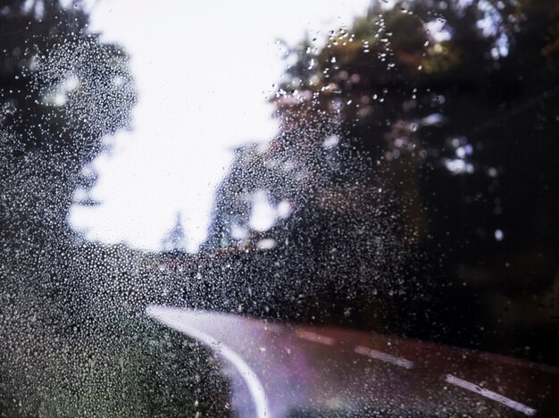 道路の背景に対する雨の影響