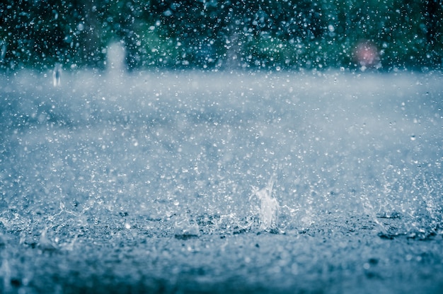 雨 写真 47 000 高画質の無料ストックフォト 雨 写真 47 000 高画質の無料ストックフォト