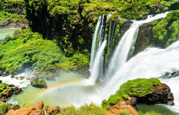 イグアス​の​虹​は​南​アメリカ​で​世界​最大​の​滝​に​なります