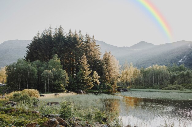 自然の風景と空の虹
