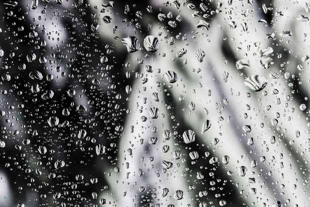 白と黒の背景に雨滴