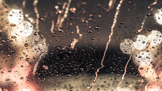 风雨飘摇