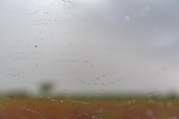 Foto gratuita giornata di pioggia - dietro il finestrino dell'auto