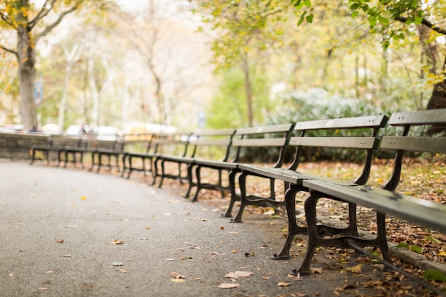 Range of wooden benches in the park with a lot of fallen autumn leaves with a blurred