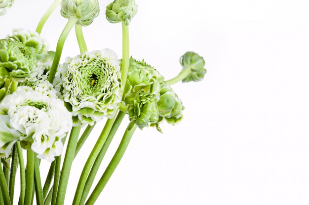 Ranunkulyus bouquet of flowers