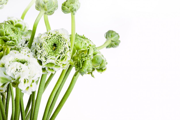 Ranunkulyus bouquet of flowers