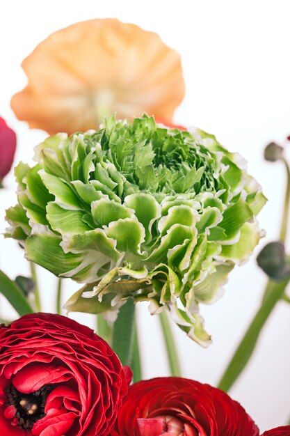 Ranunkulyus bouquet of red flowers on a white