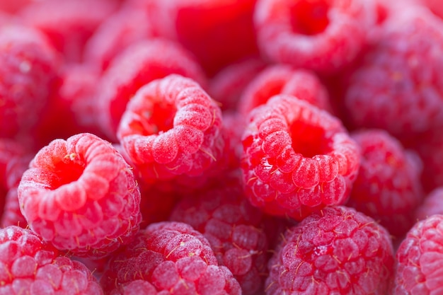 Free photo raspberries close up