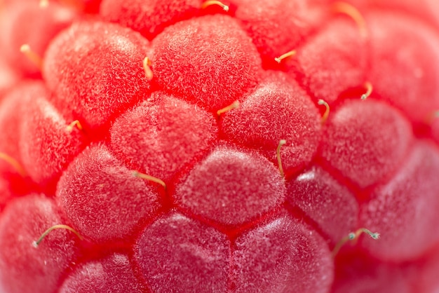 Free photo raspberry close-up