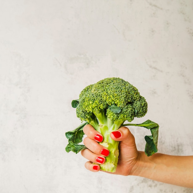 Raw broccoli in woman's hand on white wall background