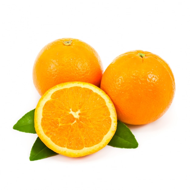 生のクロス成分スタジオ柑橘類
