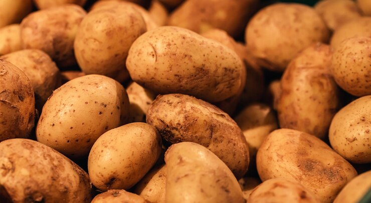 Free Photo raw dirty potatoes in the supermarket closeup