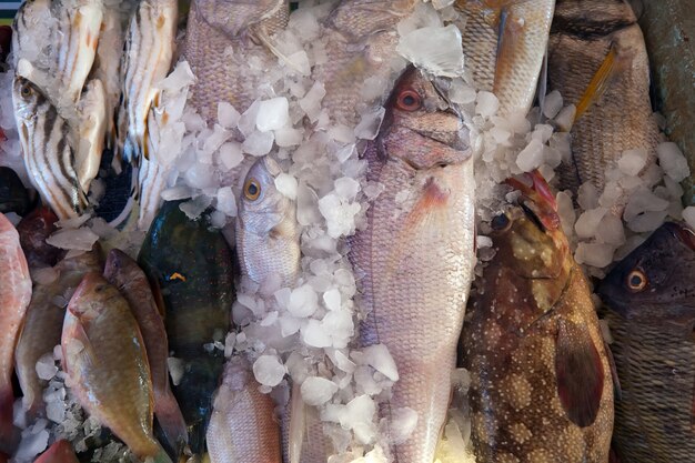 Raw fish on market counter