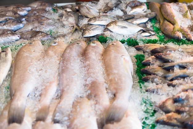 Raw fish in market